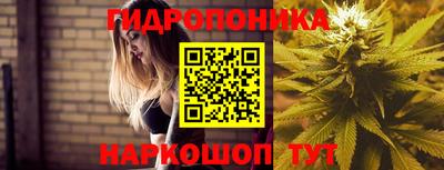 ECSTASY Можга