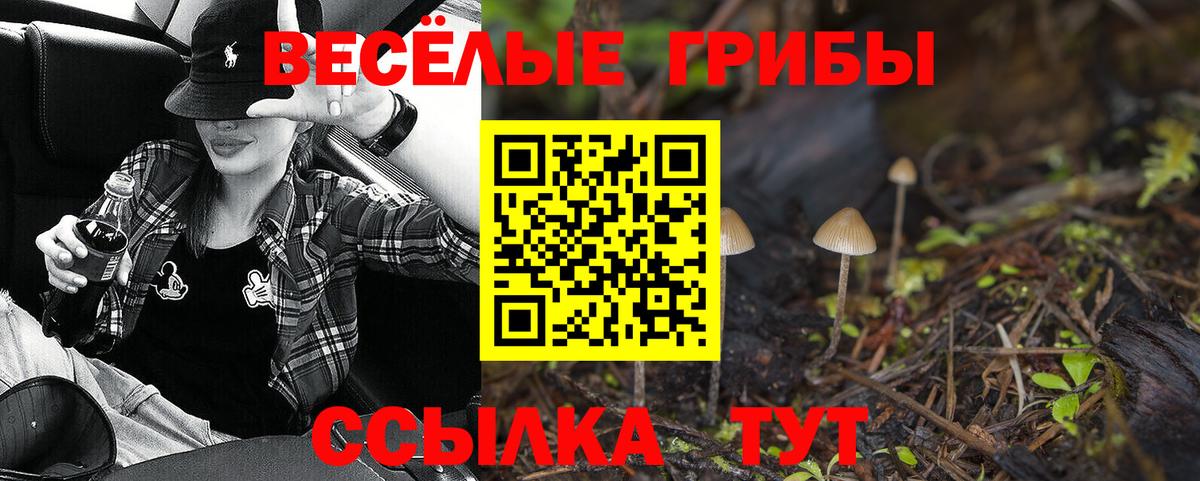 Псилоцибиновые грибы Magic Shrooms  как найти   Урай  Вход с VPN 