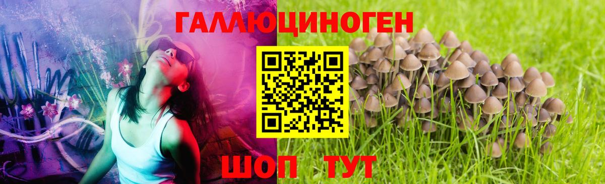 Псилоцибиновые грибы мицелий Урай
